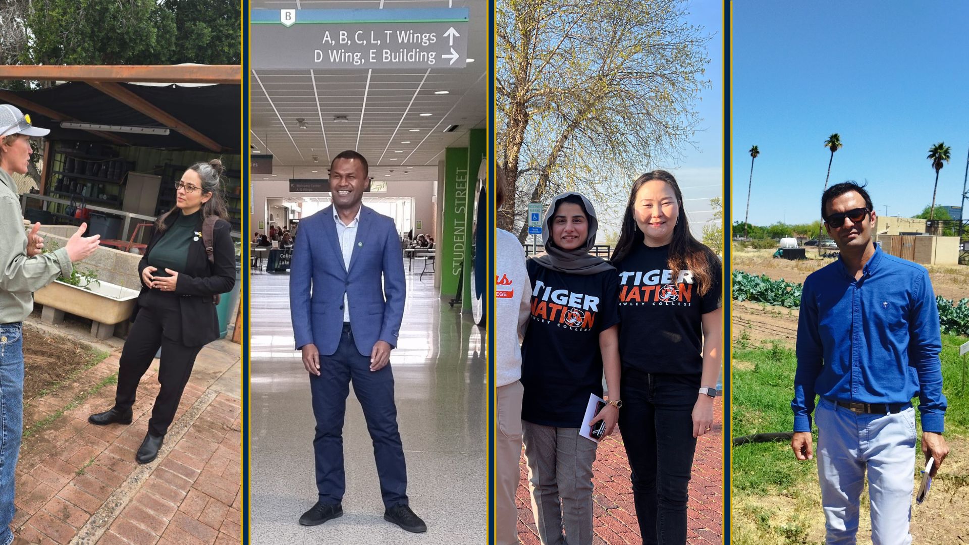 Four photos of the fellows separated by blue and yellow boarders. Daphna speaks to a colleague, Ilisa stands in a main hallway, Baigalmaa poses with colleagues, and Bagher visits an agricultural space.